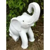 Enigma Sitting Elephant
