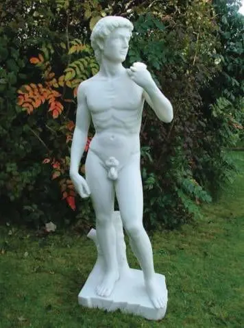 Enigma David 85cm
