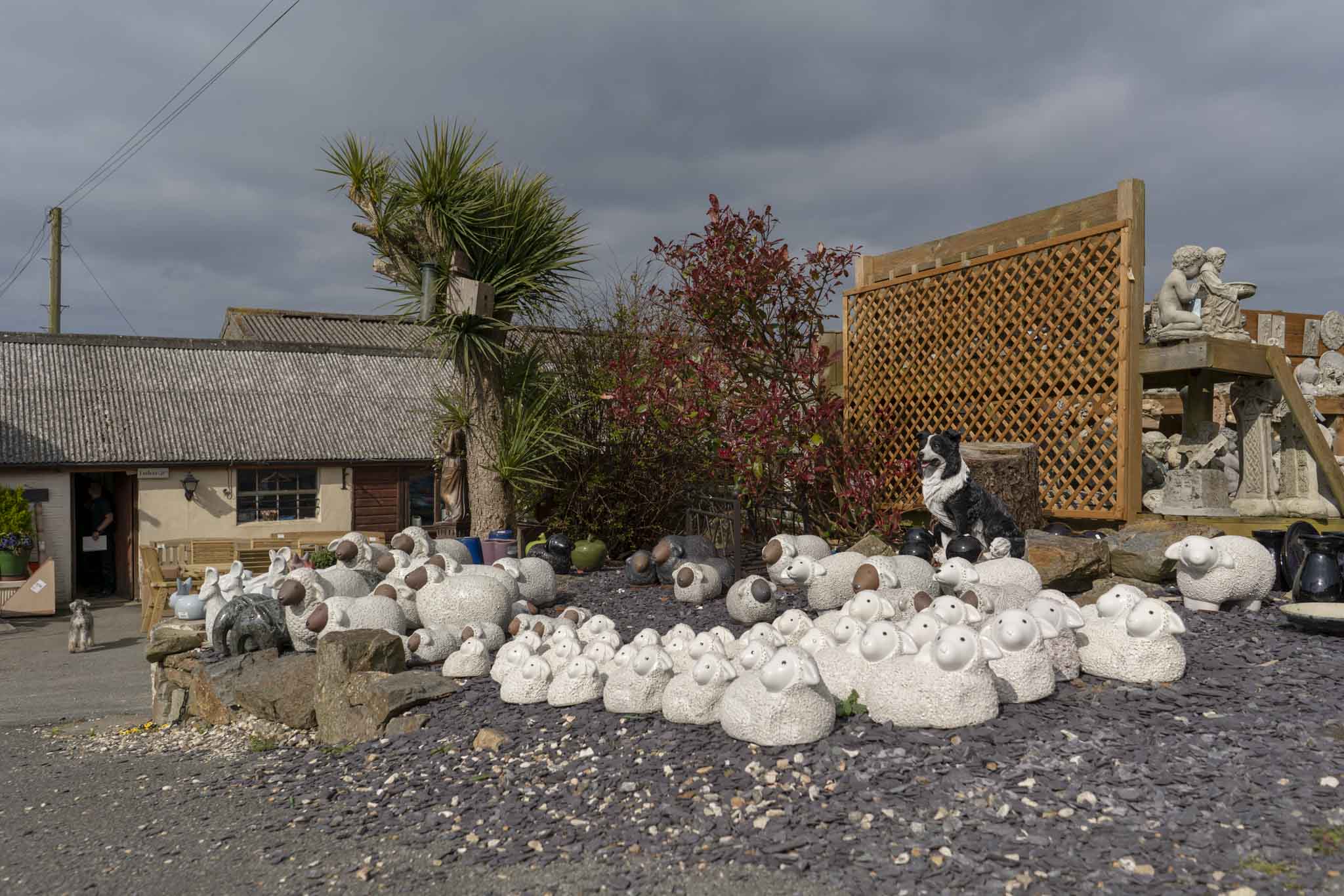 Penrallt Garden Centre and Nursery in Pembrokeshire